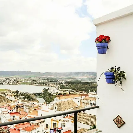 The Nest In The Old Town *